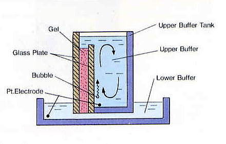 KS8012-2