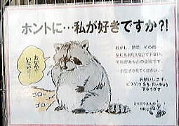 動物にエサをあげないで